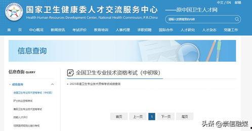 我的头条年度成绩查询,我的成长与收获”