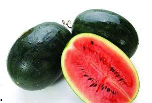 岑岑吃瓜1.23,岑岑吃瓜，揭秘娱乐圈最新热点