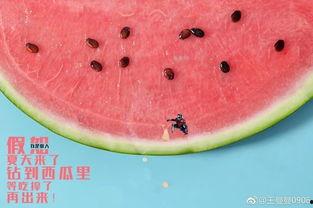 战斗力吃瓜群众,揭秘网络舆论场的力量与影响