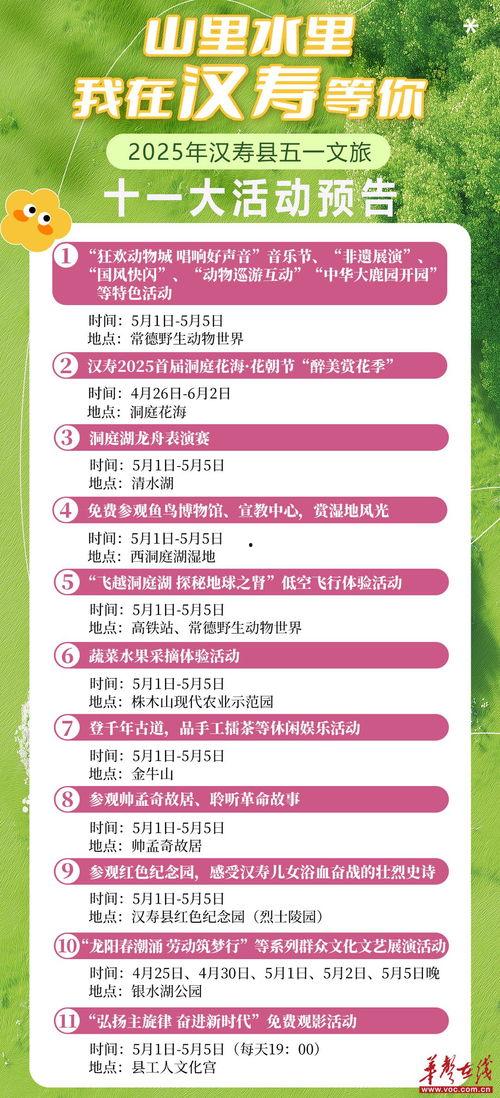 五一路今日头条,聚焦城市繁华，探寻生活新篇章