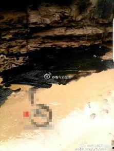 陕西最新油田爆料,油气资源蕴藏量再创新高