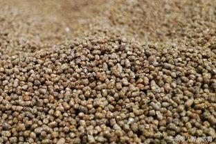 浓缩料怎么看蛋白,揭秘浓缩料中的蛋白质奥秘