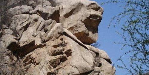 虎头崖吃瓜,一场夏日里的欢乐盛宴