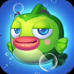 豆乐吃绿瓜,一场奇妙的味蕾之旅