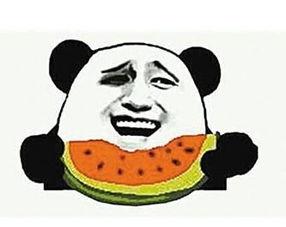 吃瓜群众妻子是谁,揭秘“吃瓜群众”背后的神秘妻子