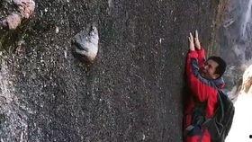 跳楼不忘吃瓜,揭秘网络时代的奇特现象