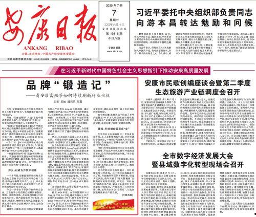 今日新安康头条新闻,聚焦本地最新动态，共话发展新篇章