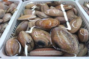 网红大螺,网络红人的崛起与影响力