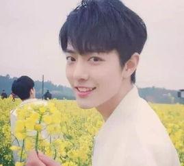 肖战头条号在哪里发,揭秘其影响力背后的故事