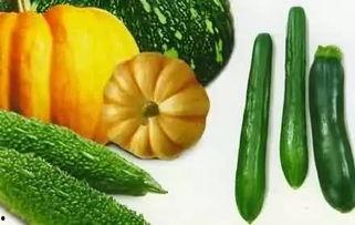 吃瓜抽象,揭秘网络时代的“瓜文化”现象