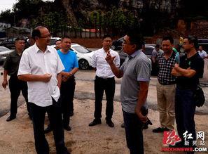 黄维芸 新晃红网,新晃红网背后的故事与启示