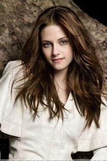 欧美明星介绍,璀璨星光下的传奇人生