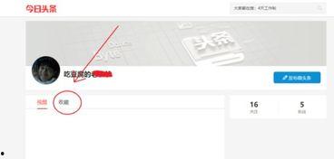 头条的收藏哪里看的,一键解锁精彩瞬间