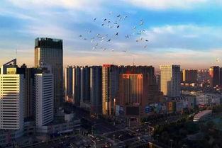 唐山小雨头条,聚焦时事热点，解码社会现象